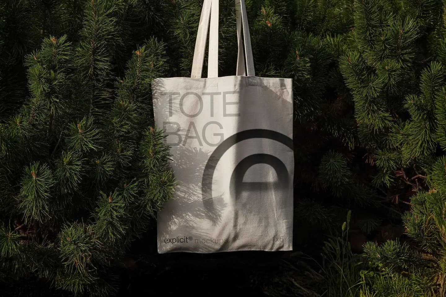 Picture of Tote Bag mockup